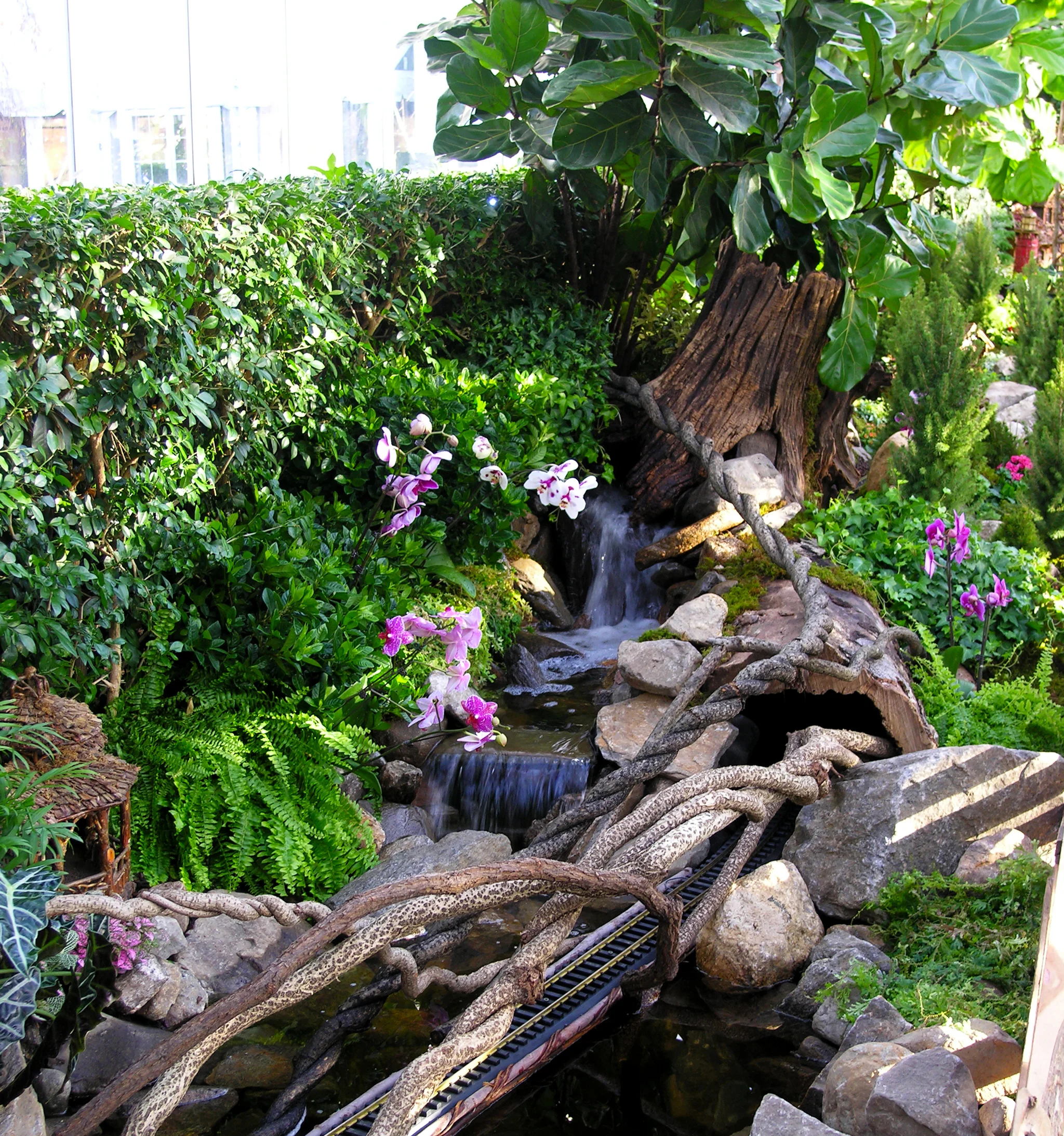 Central Park Waterfall at New York Botanical Gardens