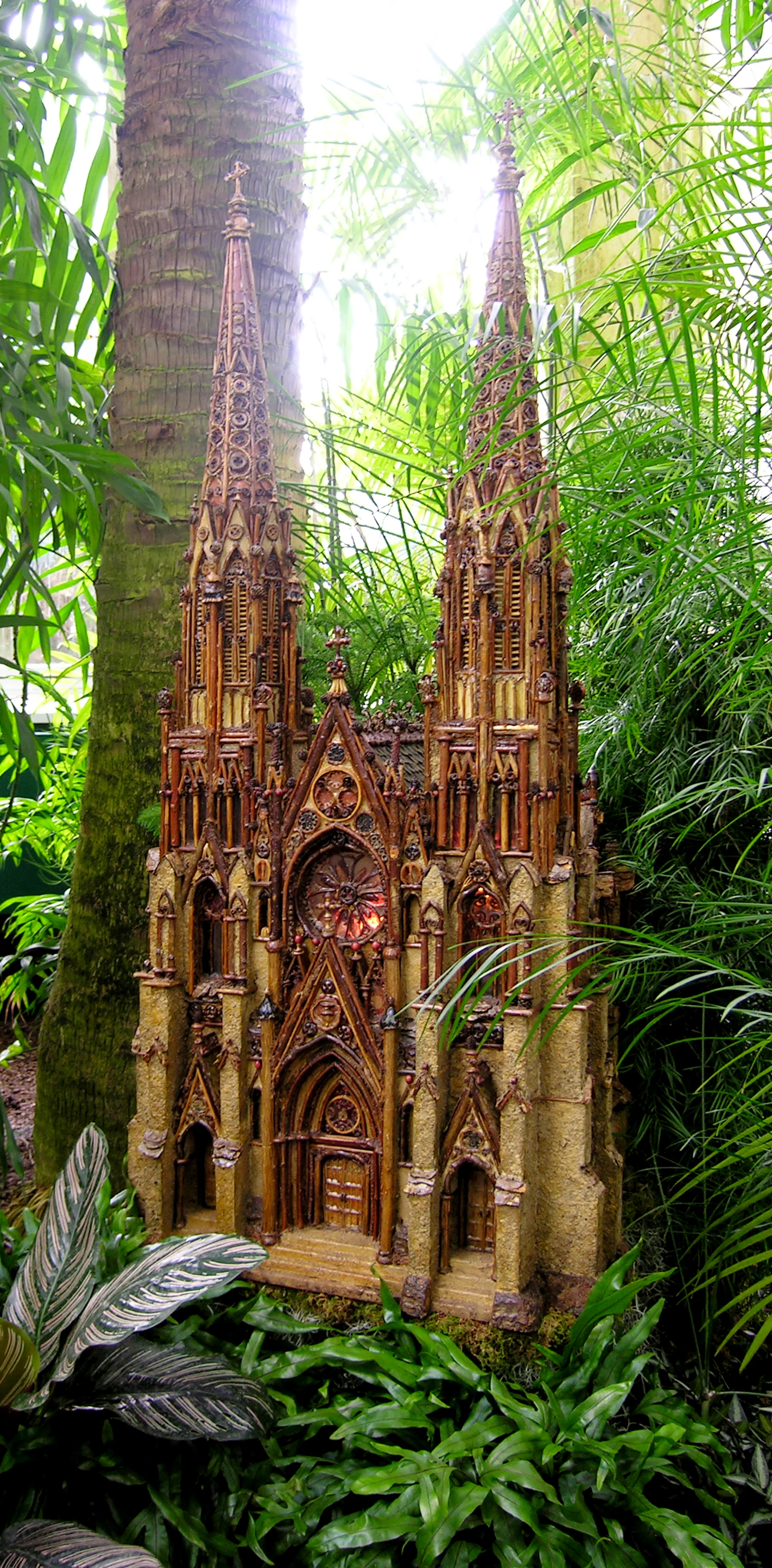 Inspiring Forest at New York Botanical Gardens