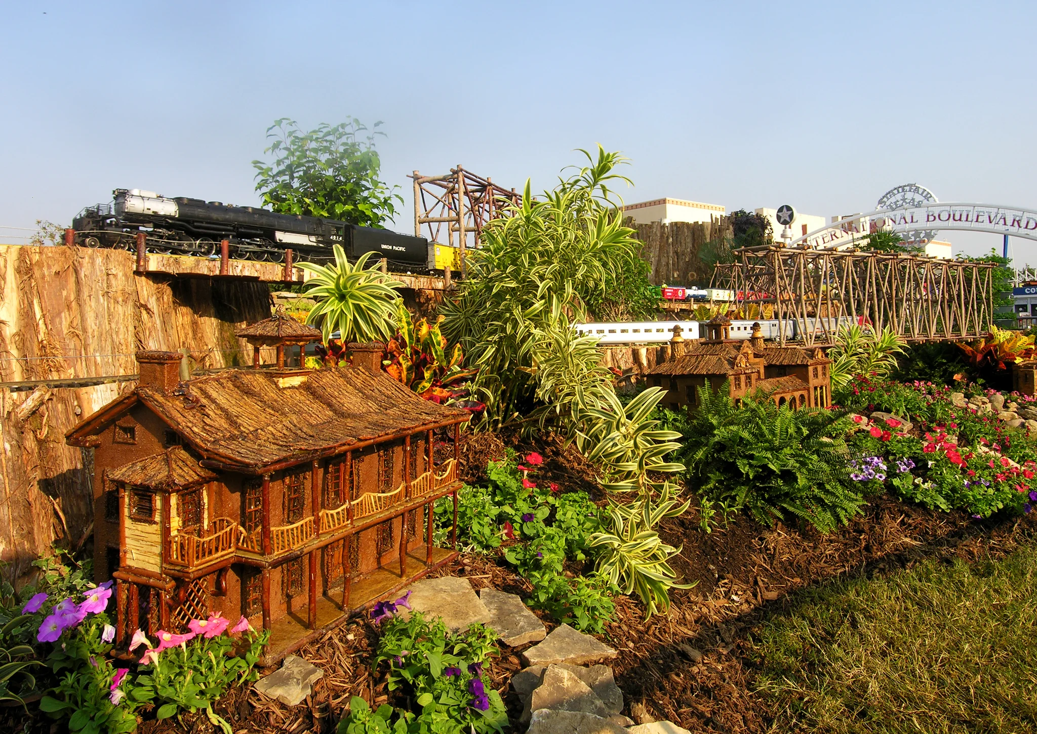 DSCN6370.jpg