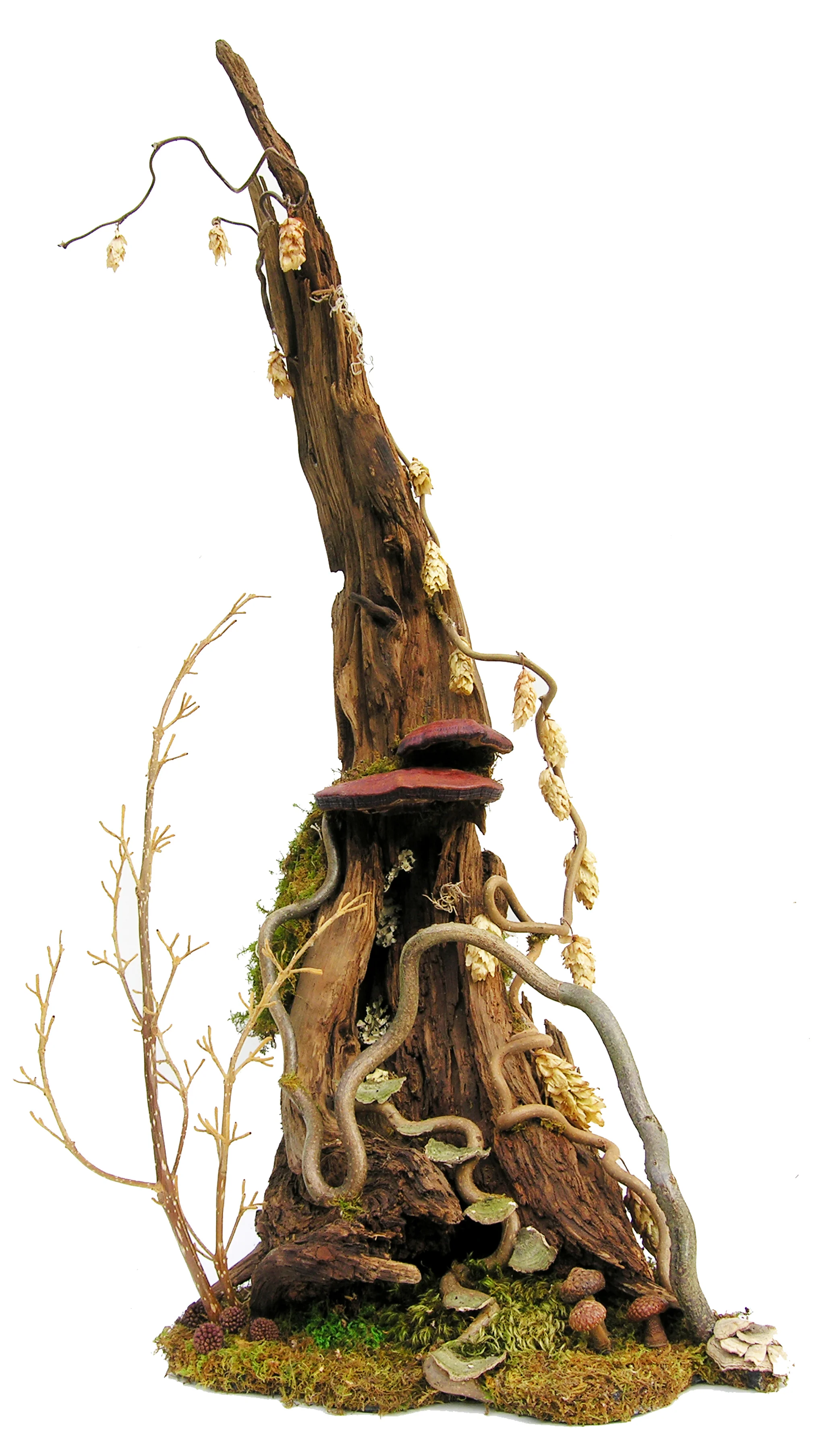 Fairy Townhouse