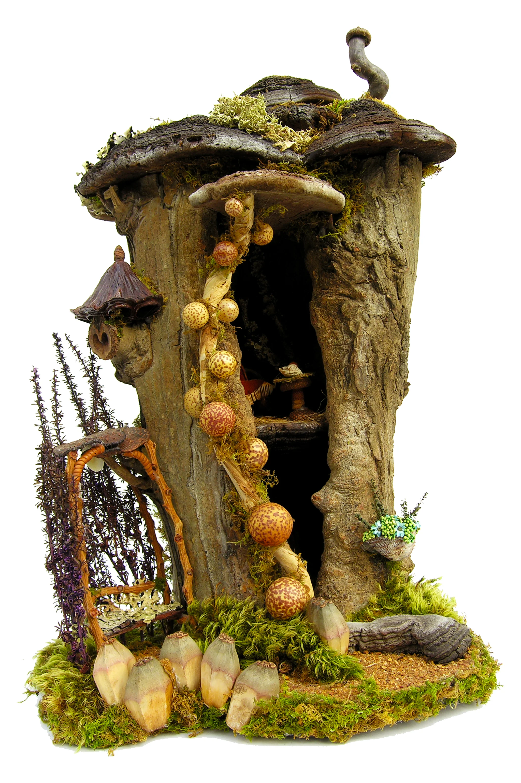 Fairy's Stump
