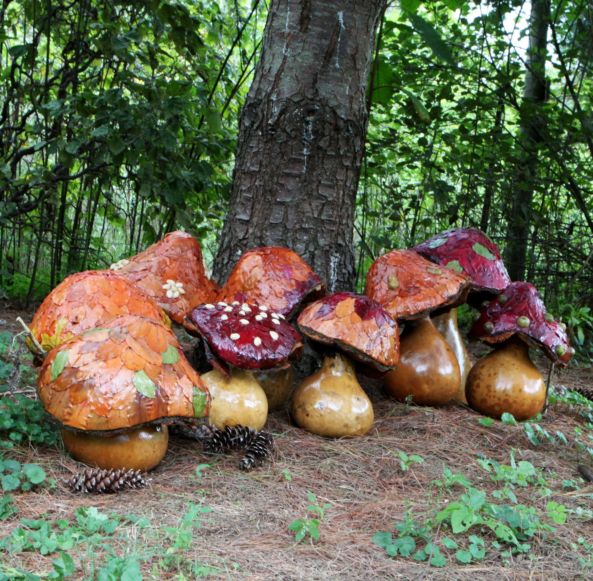 mushrooms,-var_web.jpg