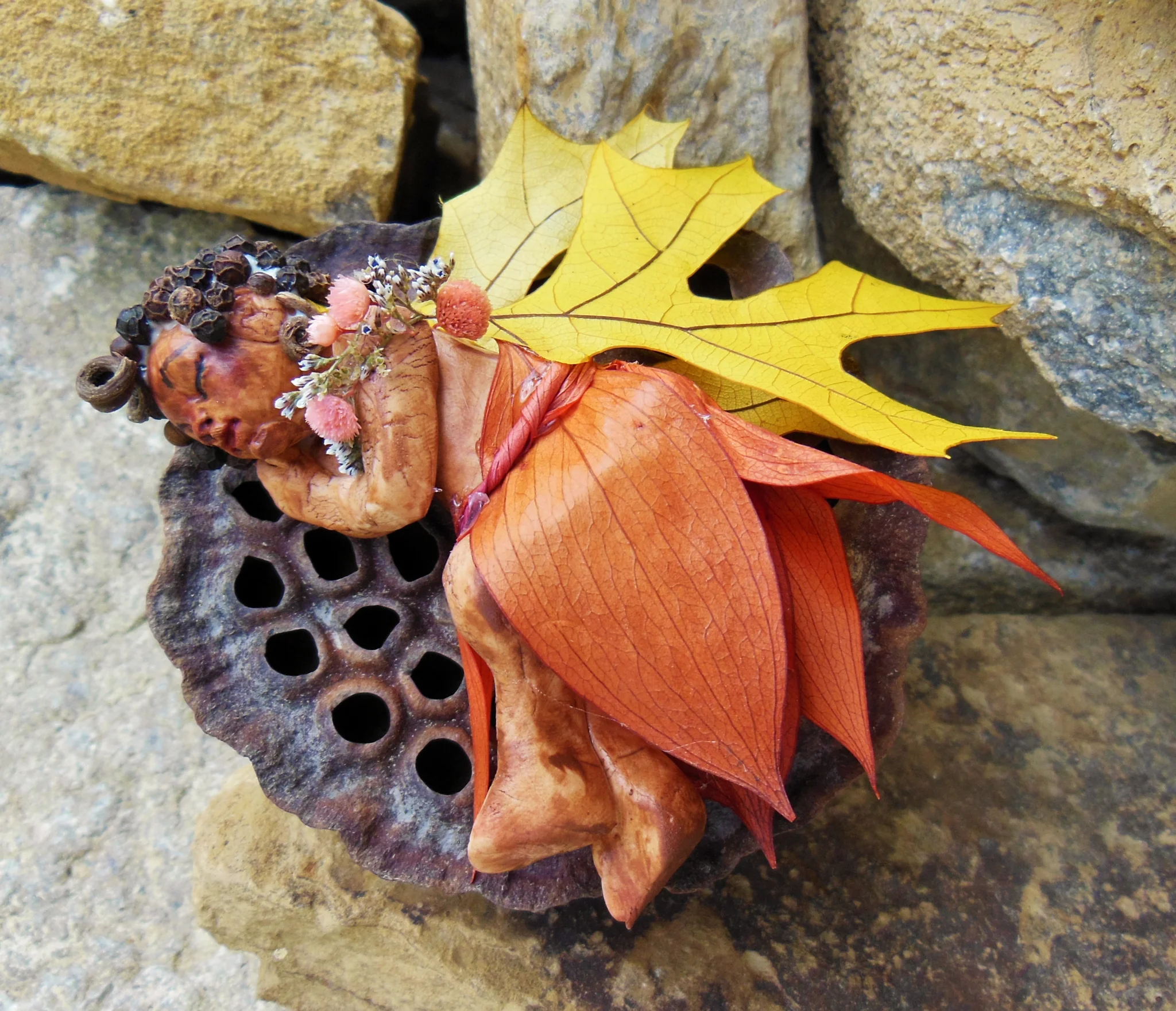 sleeping-fairy-from-above_web.jpg