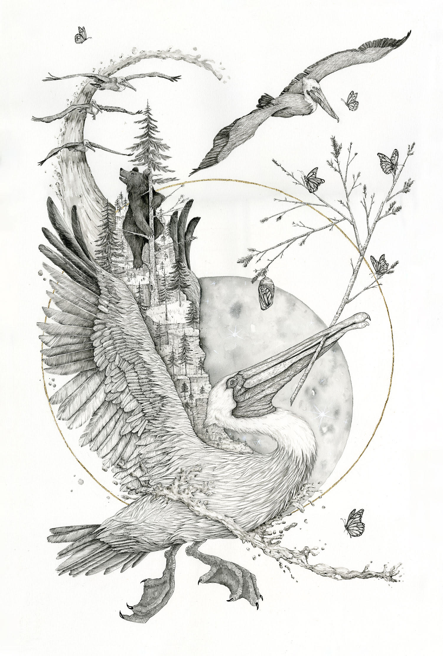 %22For Andy's Wife- Pelican Spirit%22.jpg
