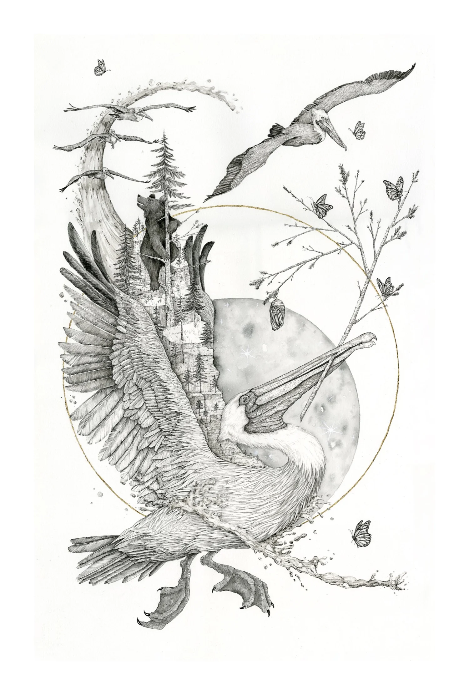“Pelican Spirit” 22” x 30” Pen and ink, watercolor, and gold leaf on paper SOLD