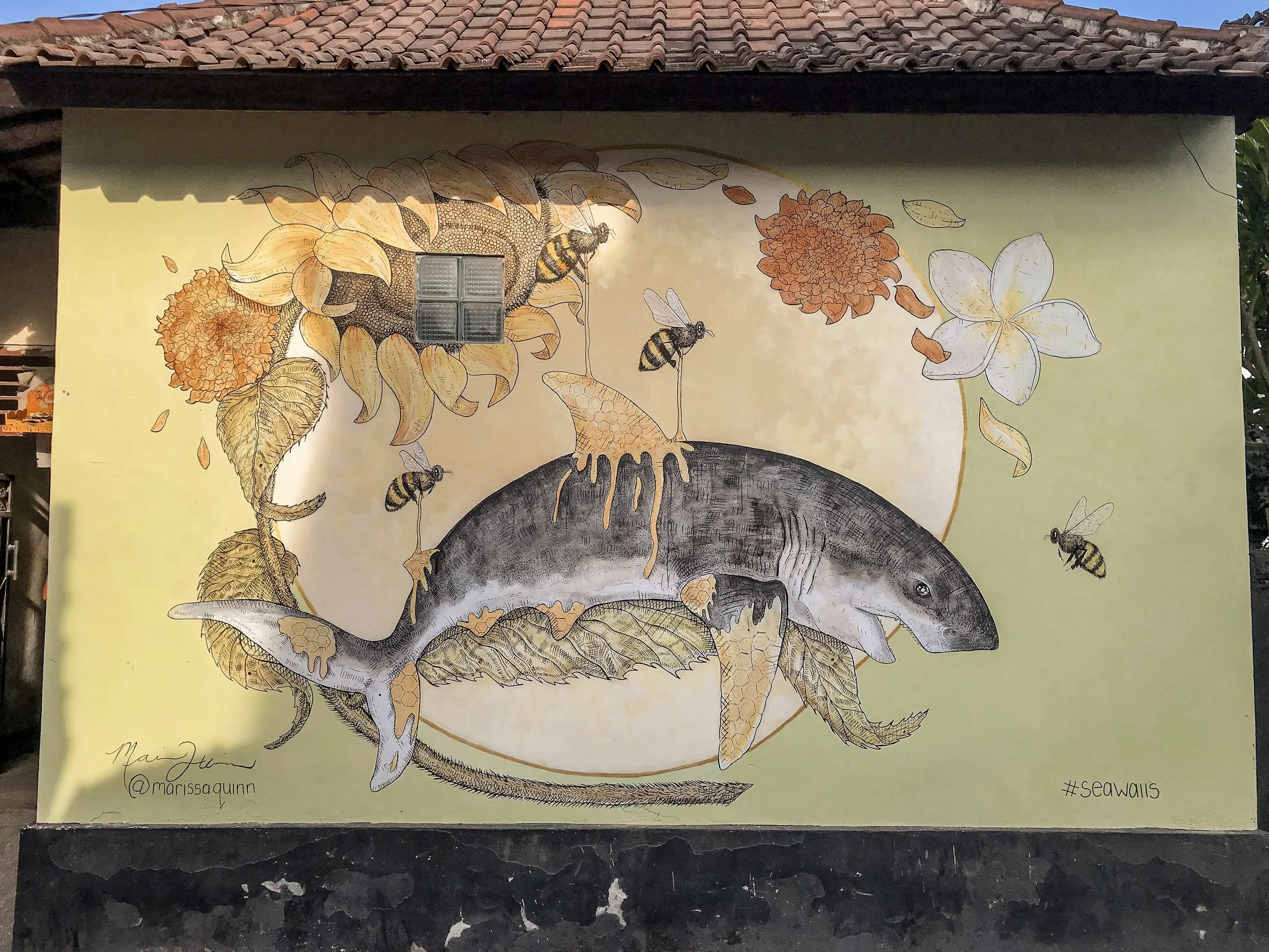 PangeaSeed Foundation x Sea Walls Bali, Indonesia