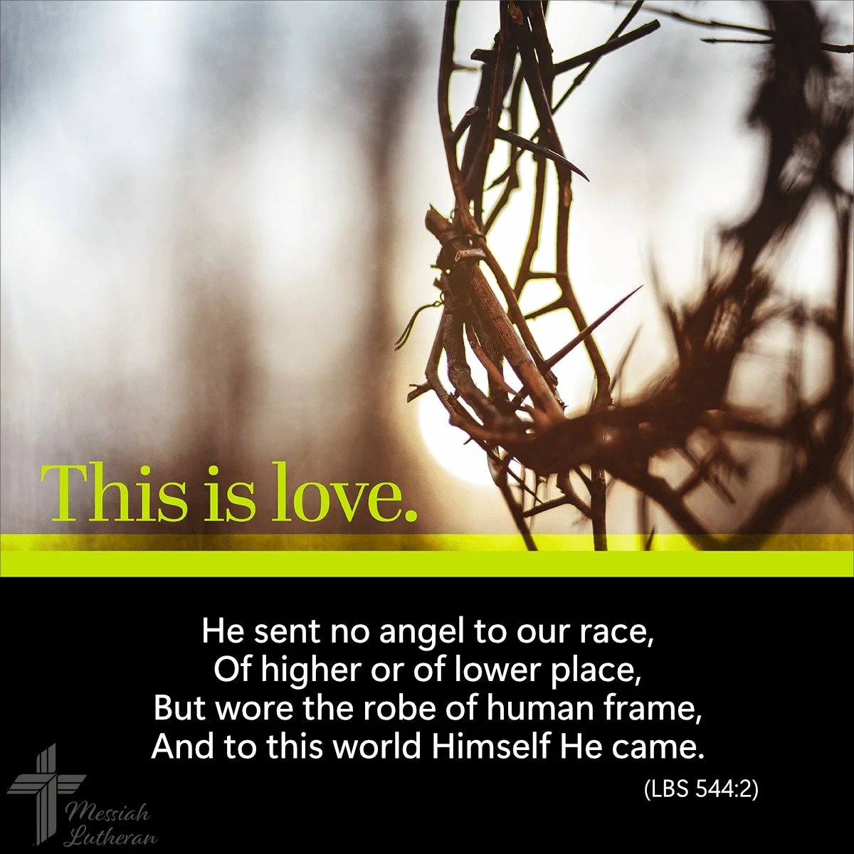 February 26th Update