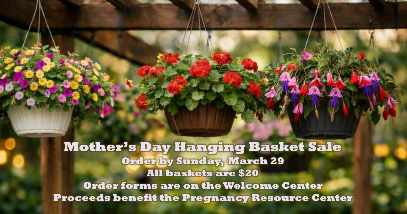 Mother's Day Hanging Basket Sale