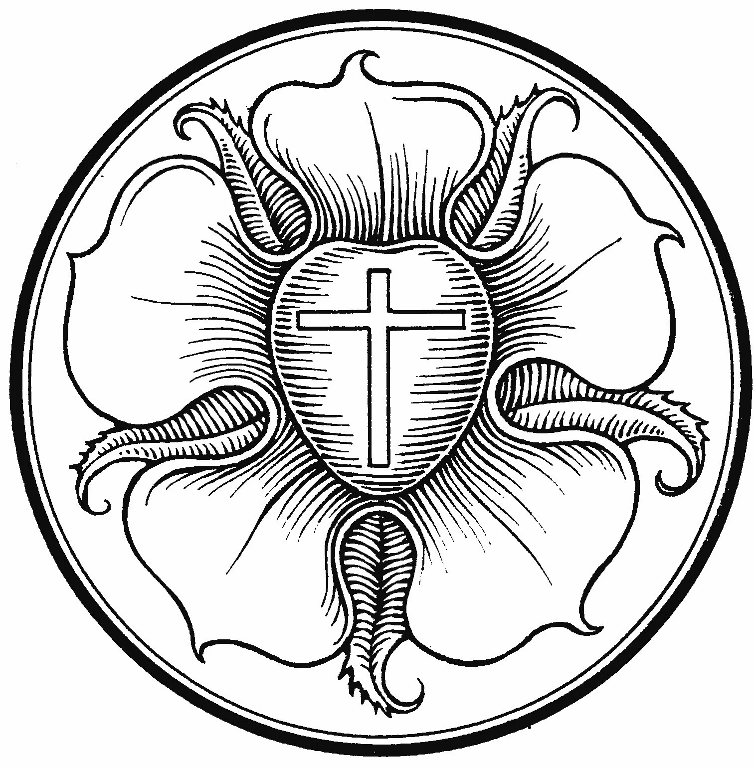Divine Service: Reformation Sunday