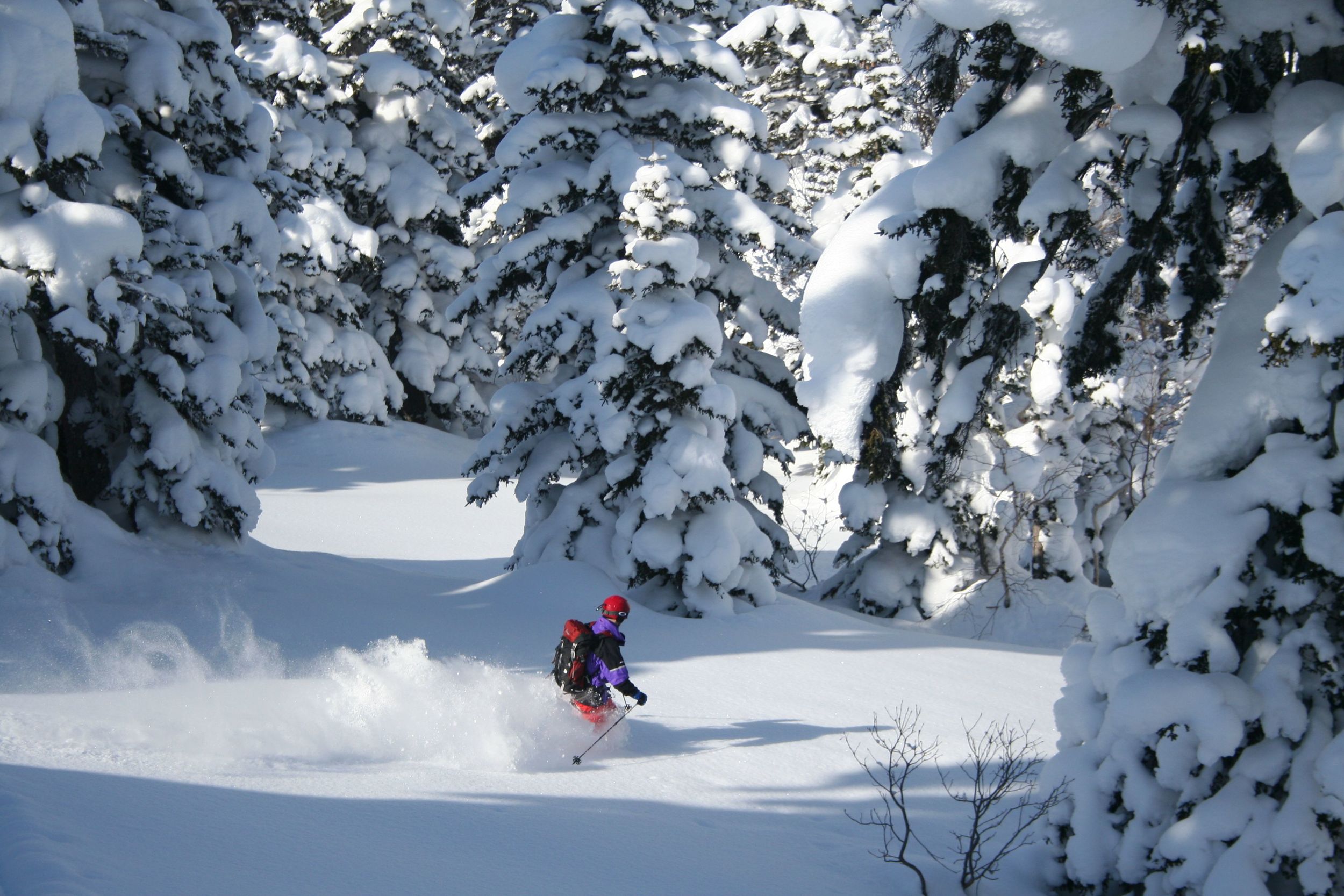 Backcountry Skiing Tokachi