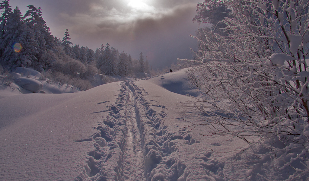 Backcountry Skiing Tokachi Mountains