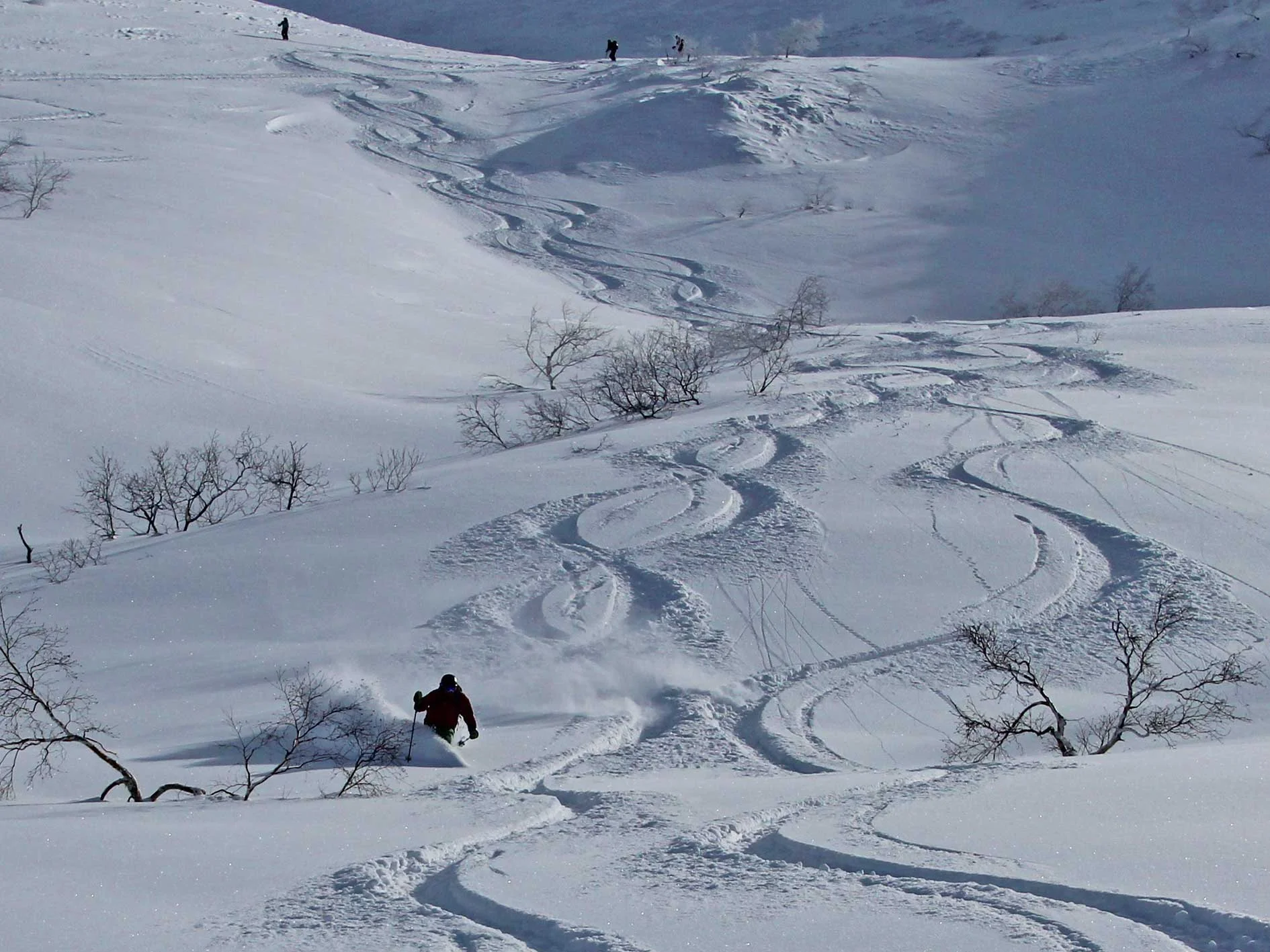 Sanpo Valley Powder Tracks, Tokachi Mountains