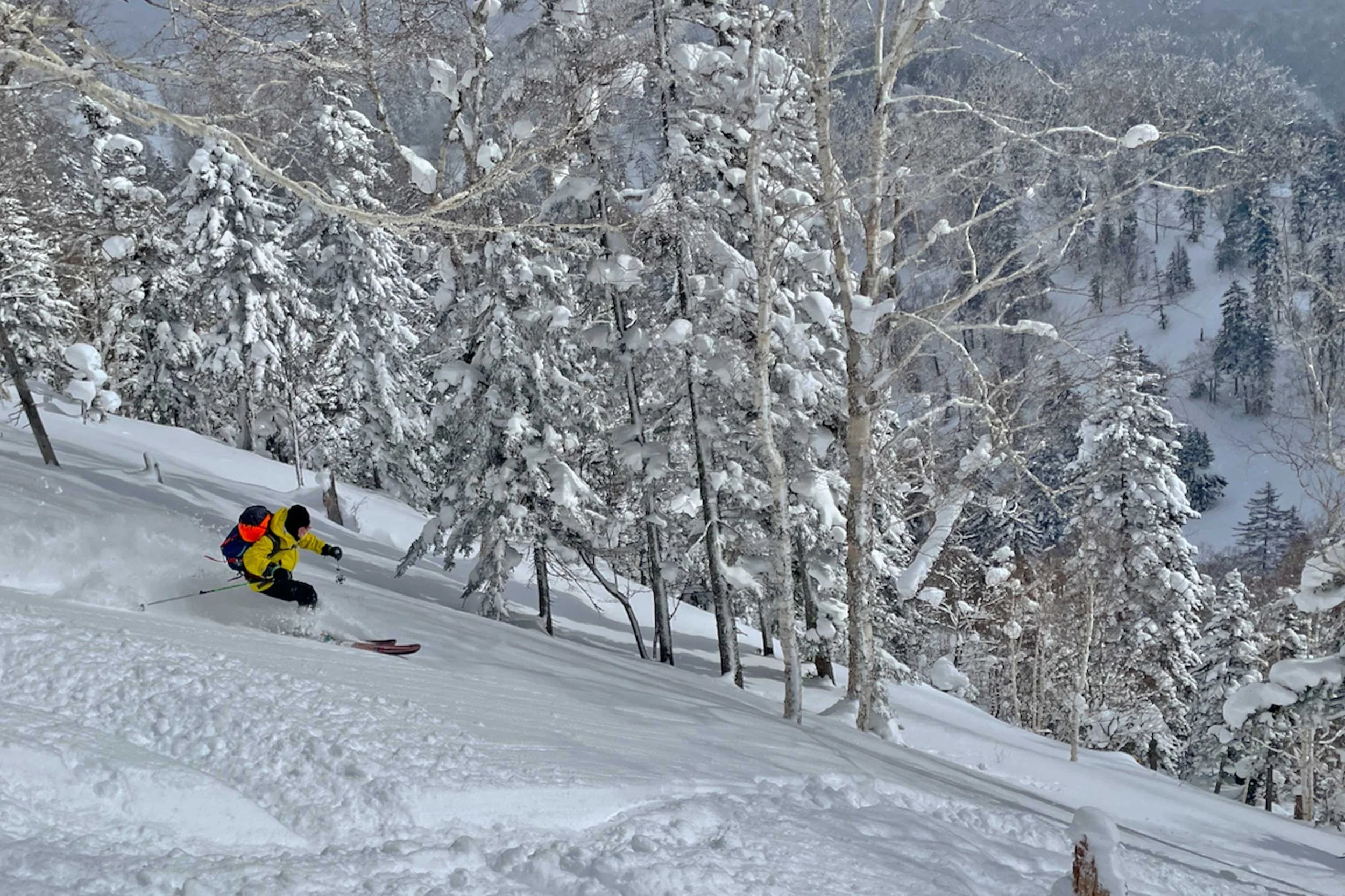 Tomamu_backcountry#1.jpg