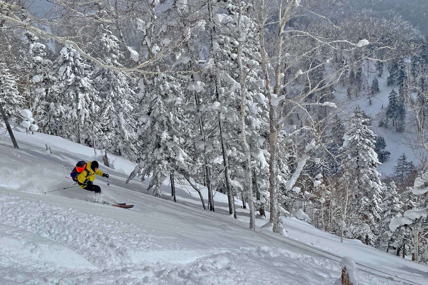 Come and experience the best that Hokkaido has to offer!!!

Bookings are now open for the 23/24 season ⛷️