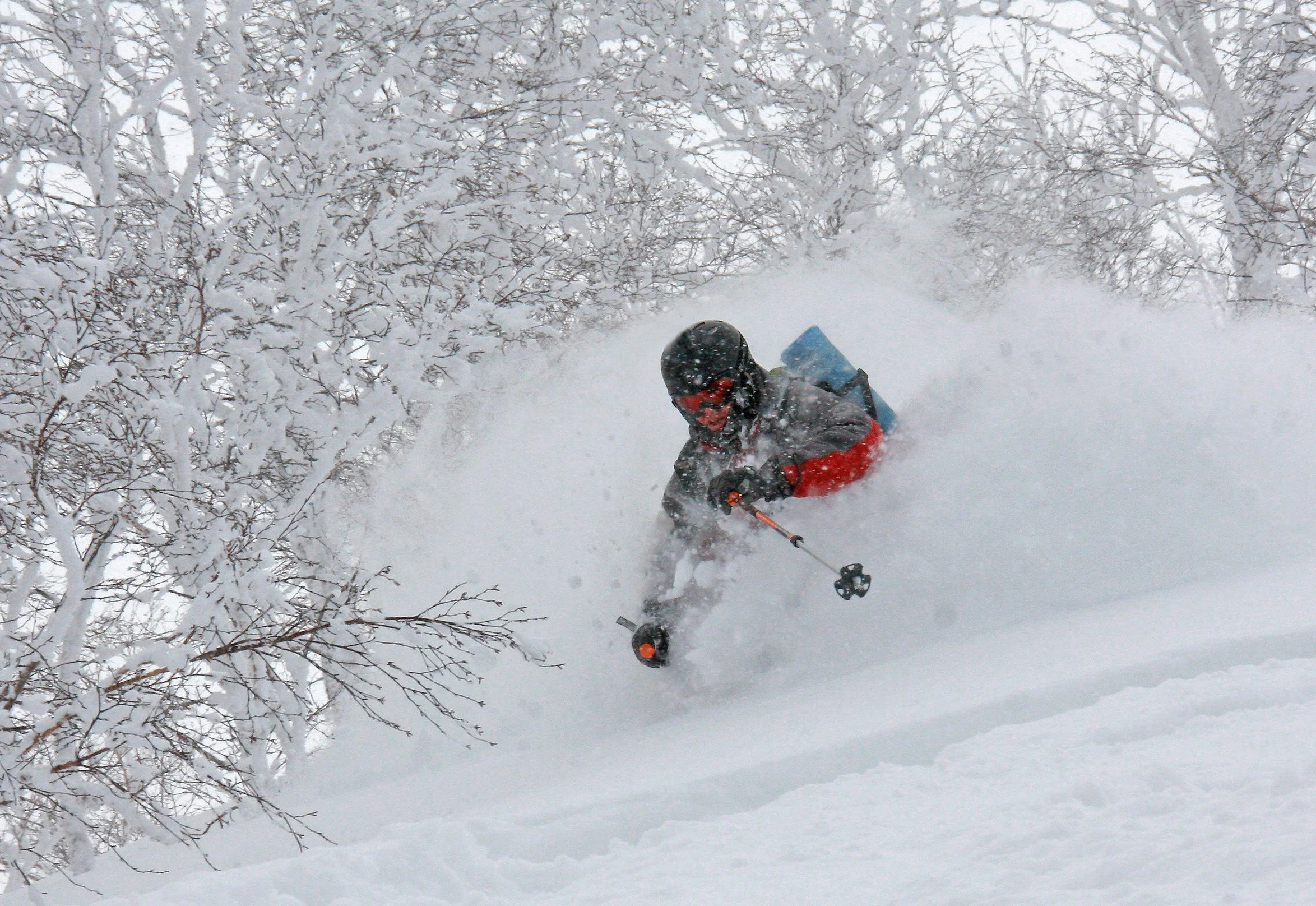 John M Tokachi powder#4.jpg