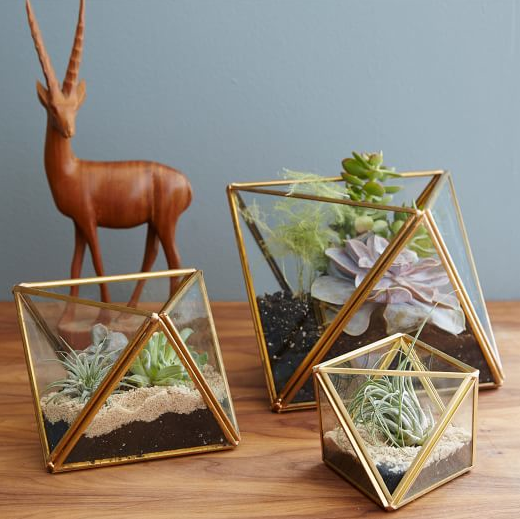 Photo Credit: West Elm