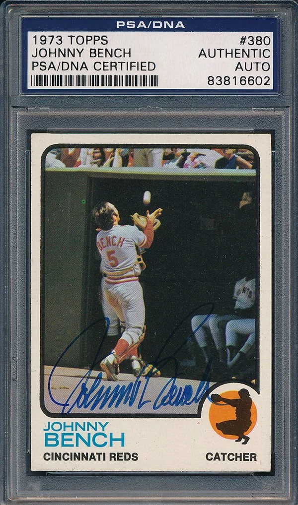 IMG_20260207_0007 600.jpg