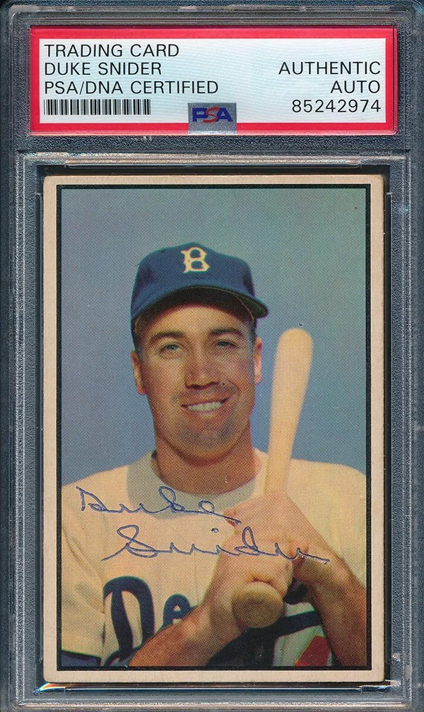 IMG_20260207_0008 600 width size.jpg