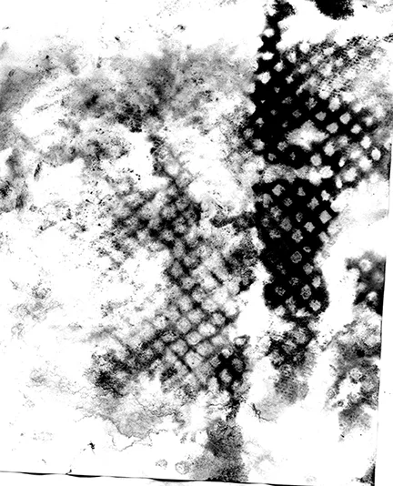 I loved this texture that I accidentally found when I was about to throw out my used palette paper! It's made by the paper towel -- the reverse of the painted paper towel i used for the head. I made it grey scale and increased the contrast and used it as texture on the tortoise's breast plate.