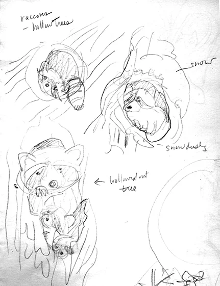 Some raccoons...