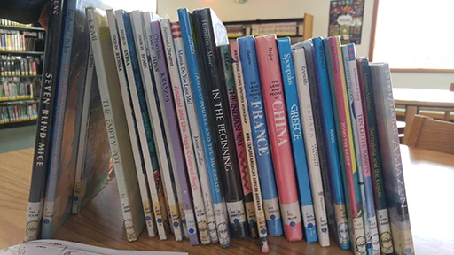 library books.jpg