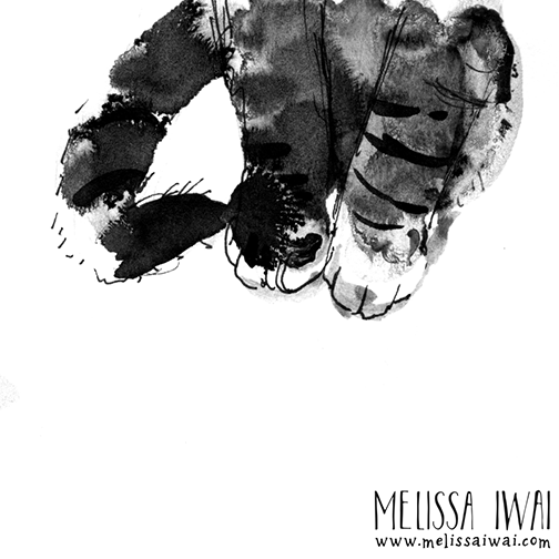 cat-paws.Melissa Iwai 2017.png