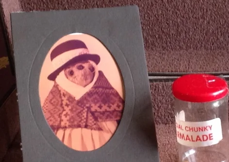Único Tartán Bata para adaptarse a un 18/" Gabrielle Paddington Bear