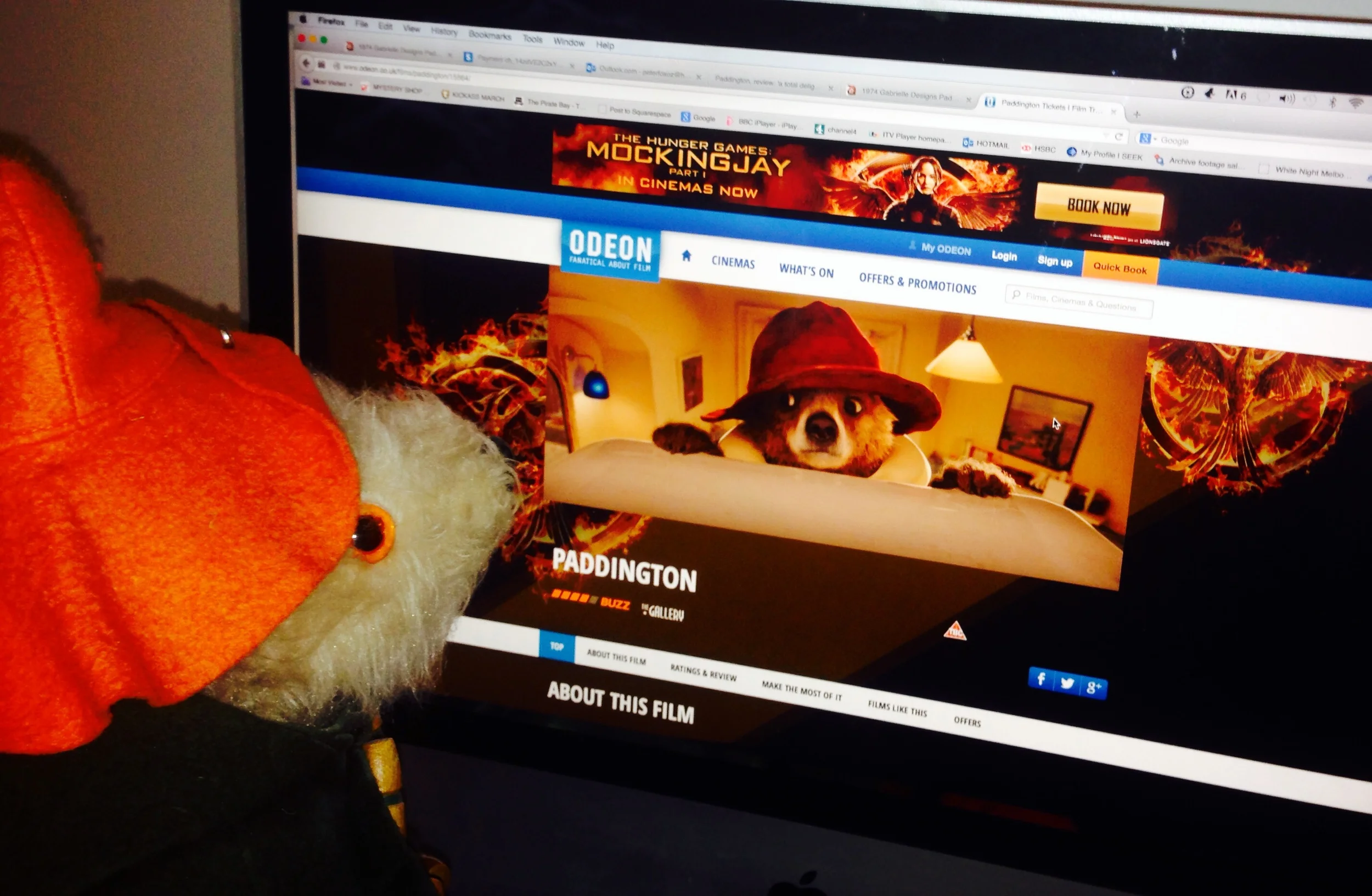 two important things for young bears at the Paddington collective to remember. Don't sit too close to the screen and no marmalade on the keyboard. 