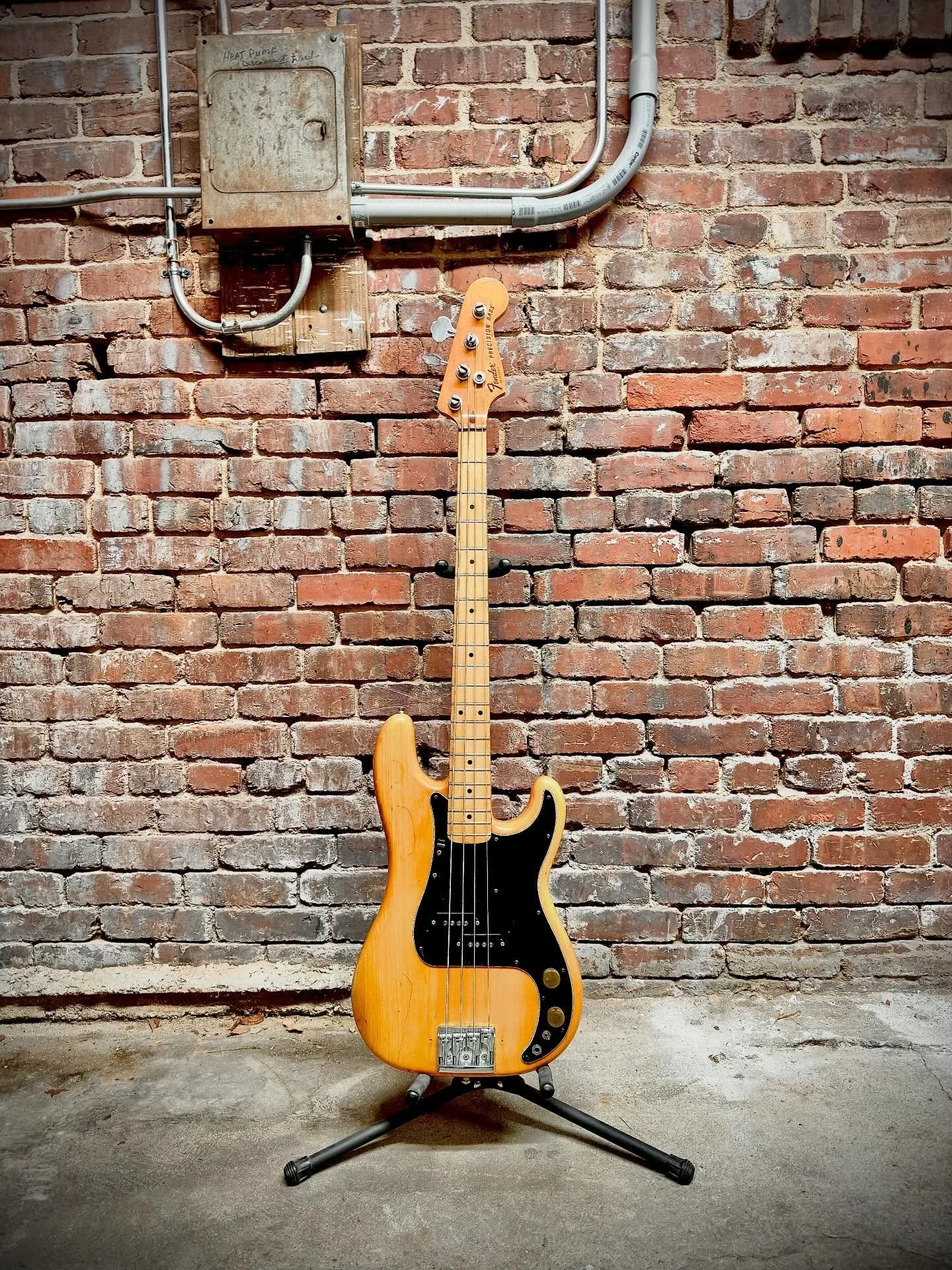 Super sweet 1978 Fender Precision Bass with extra fresh tone and vintage vibes.* 

* Carol Kaye&rsquo;s funky licks not included. 

#bassguitar #electricguitar #bullitt #stevemcqueen
