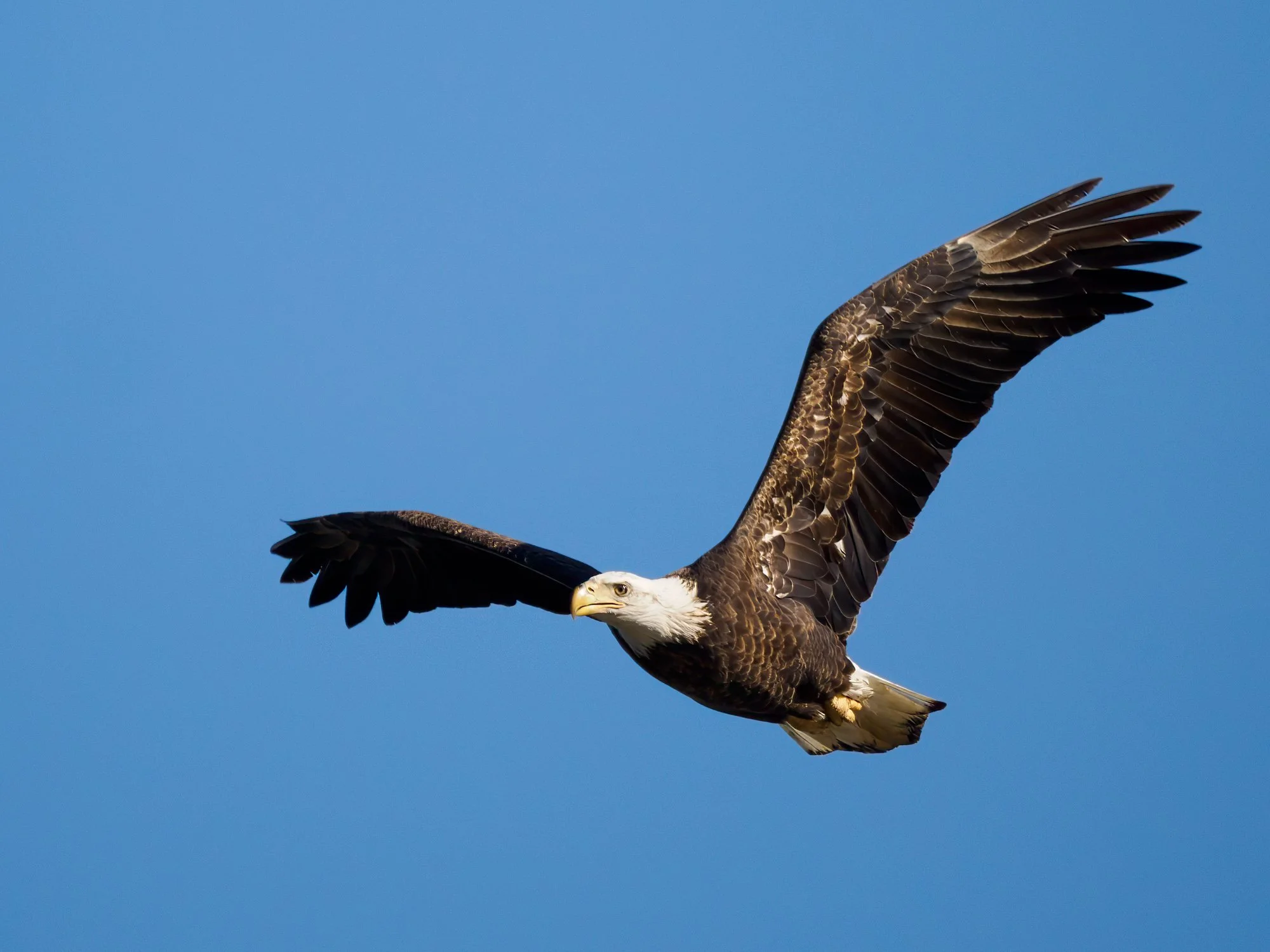 _B281951-Edit.jpg