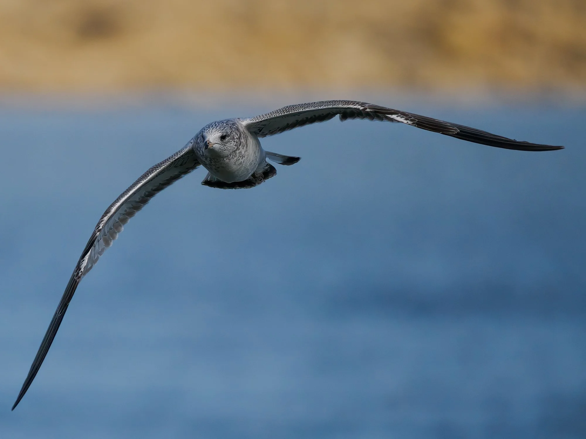_B292891-Edit.jpg