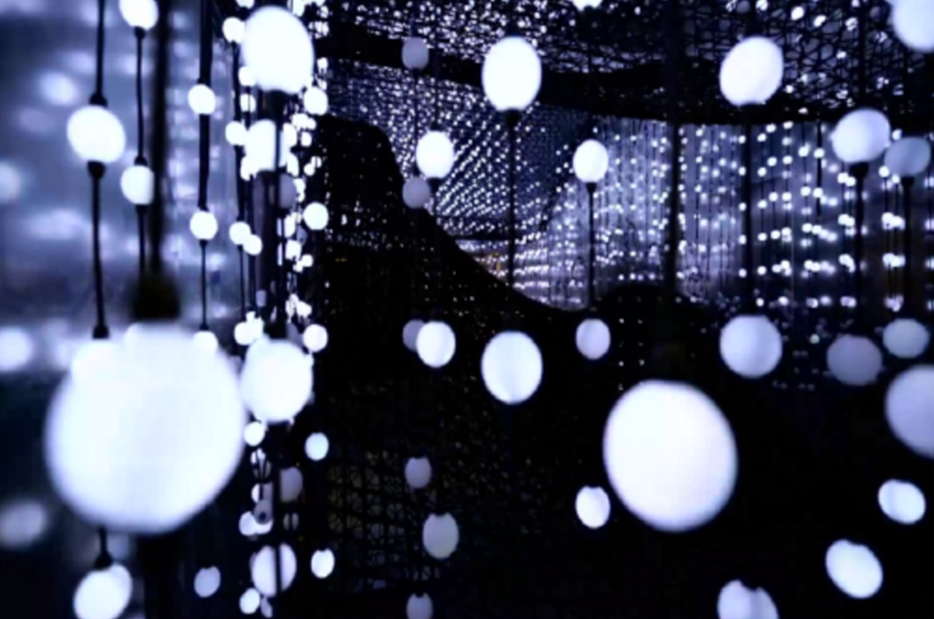  Design: Field Trip / Odd Division  