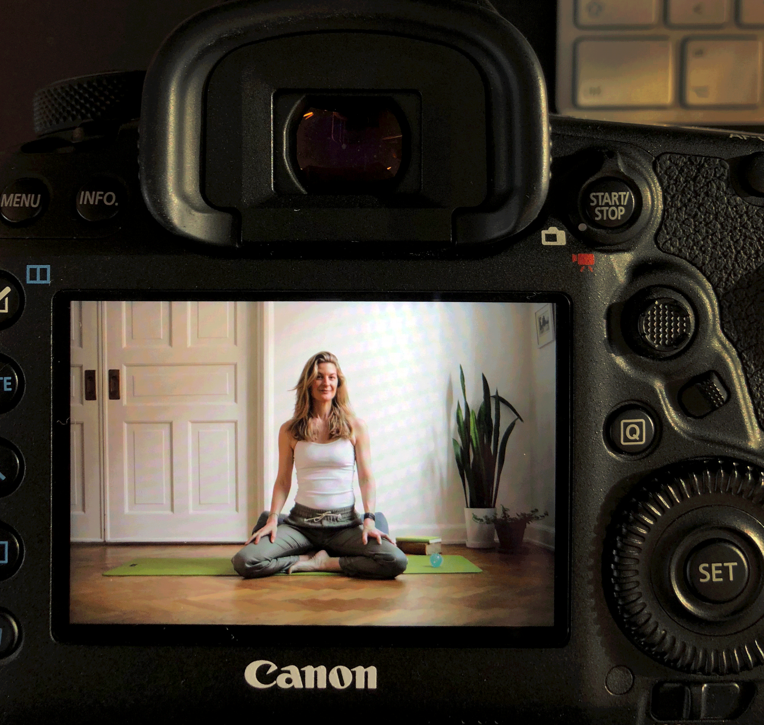 linnea_mitchell_meivisions_photography_blog.gif