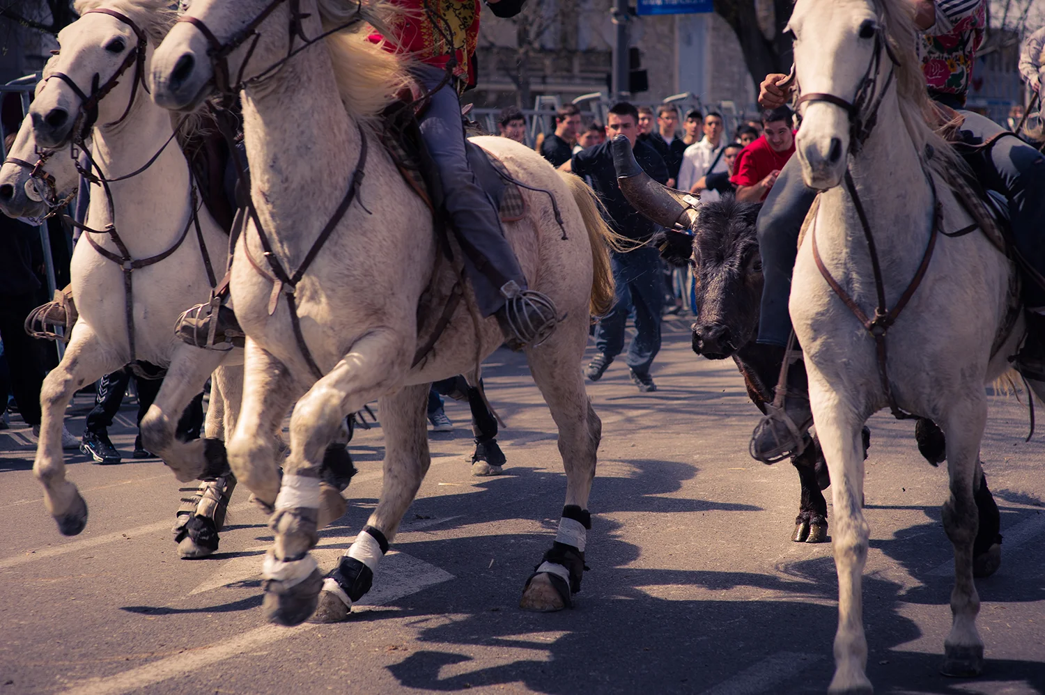 _DSC9199.jpg