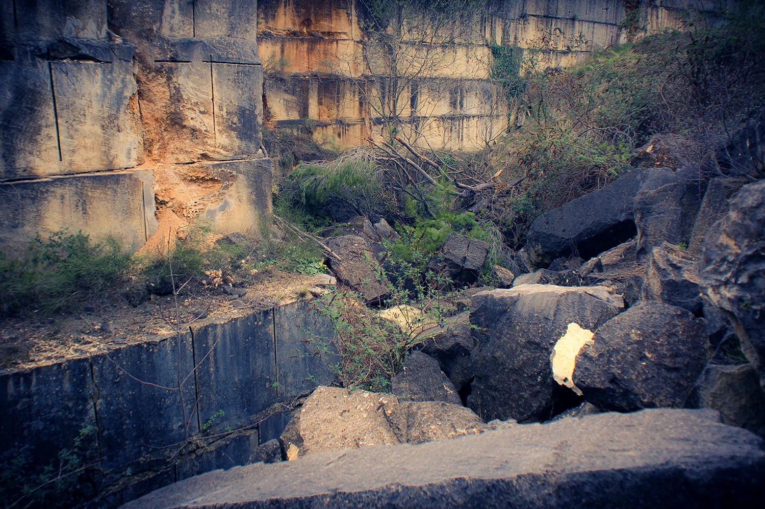 _DSC9523.jpg