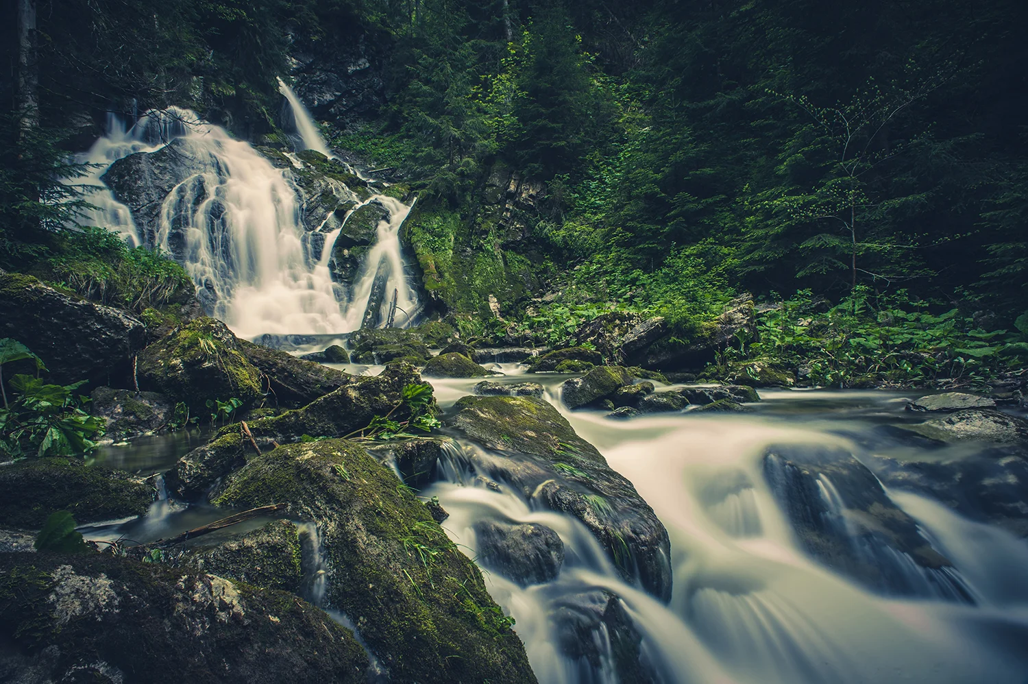 _DSC8592.jpg
