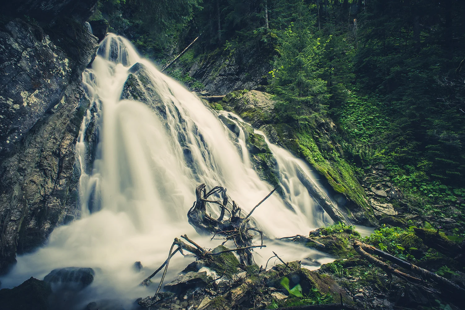 _DSC8596.jpg