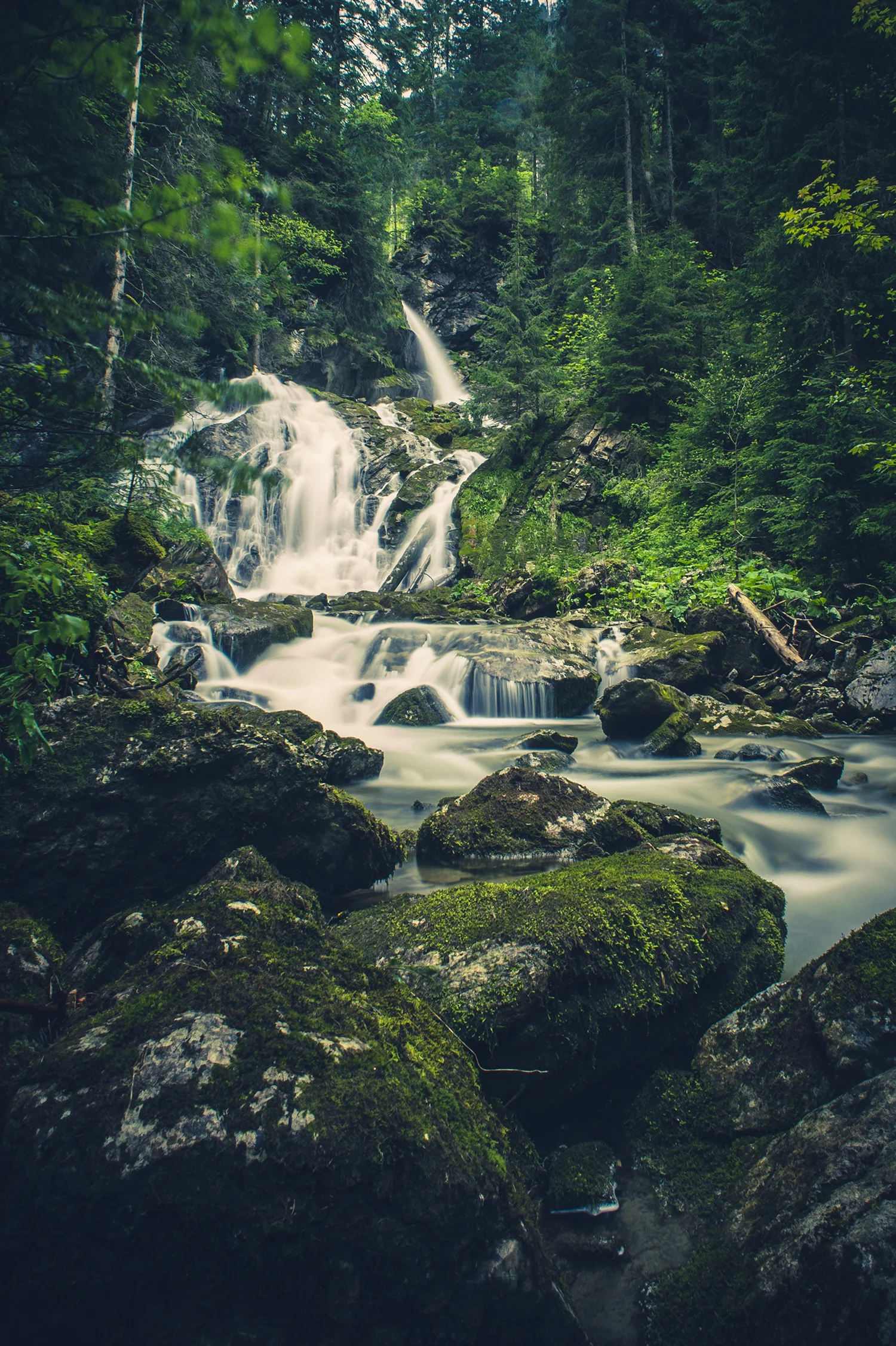 _DSC8600.jpg