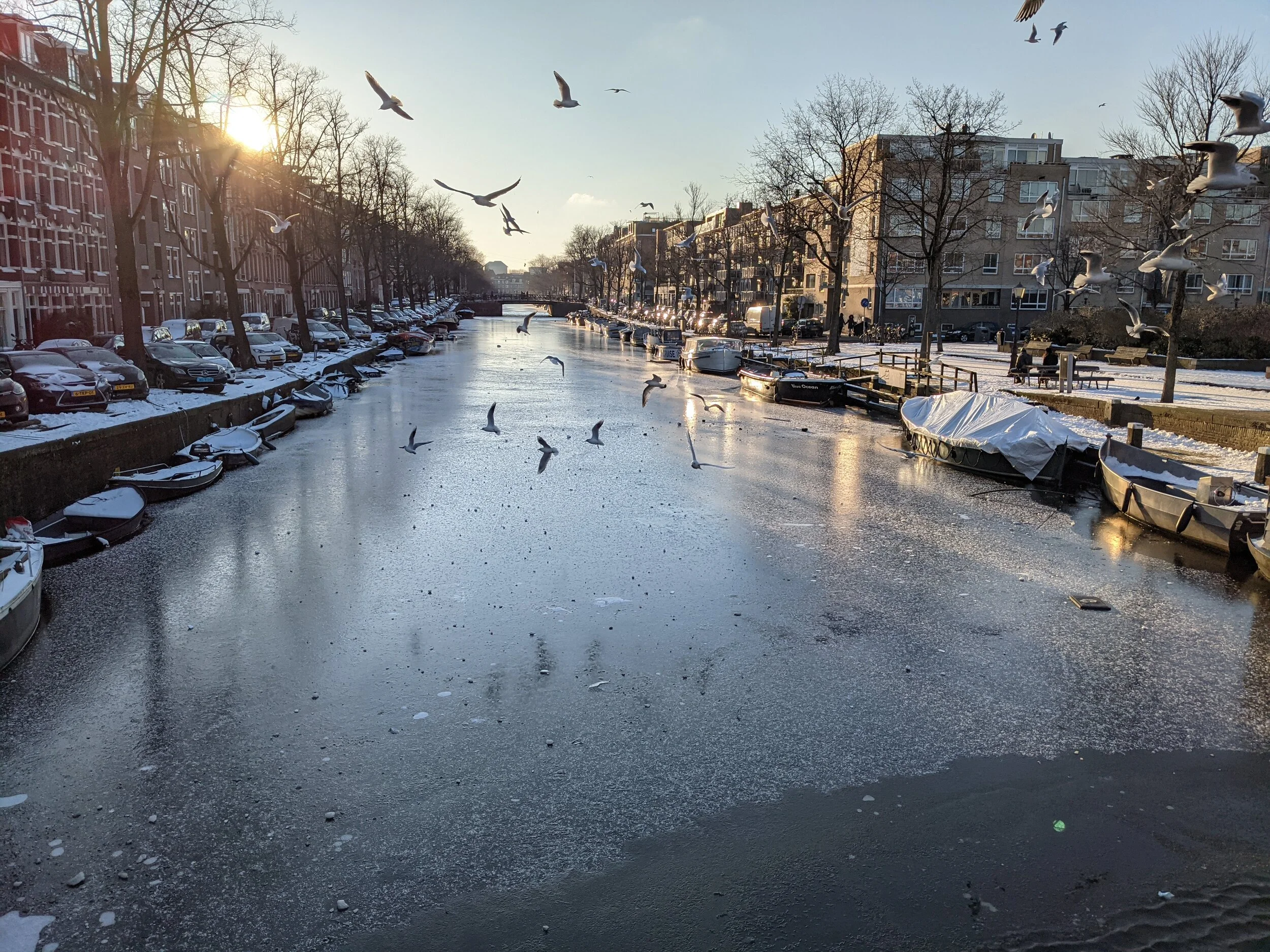 PXL_20210212_154351121 (1).jpg