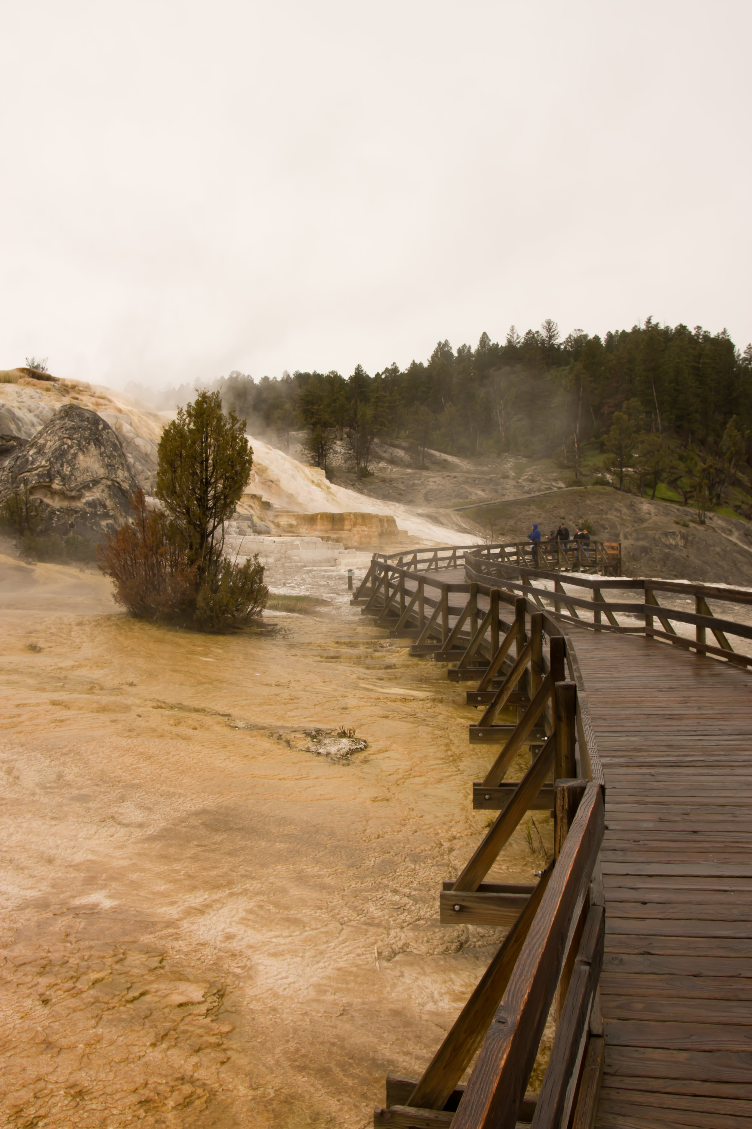 Geothermal Activity