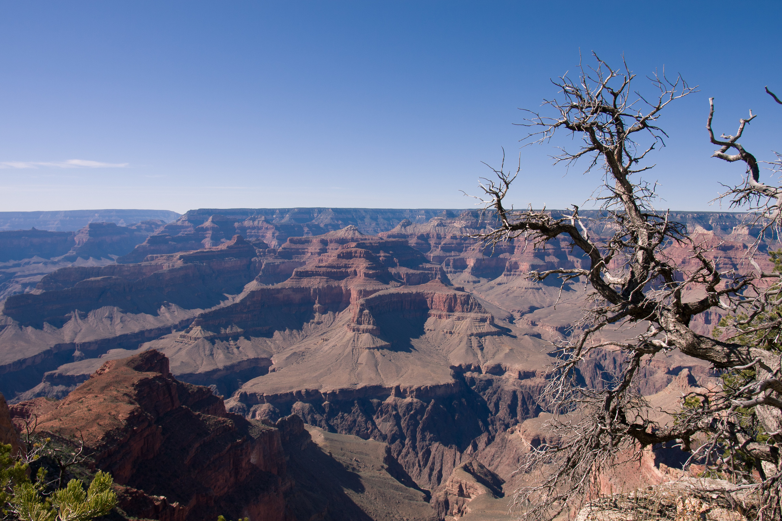 Grand Canyon