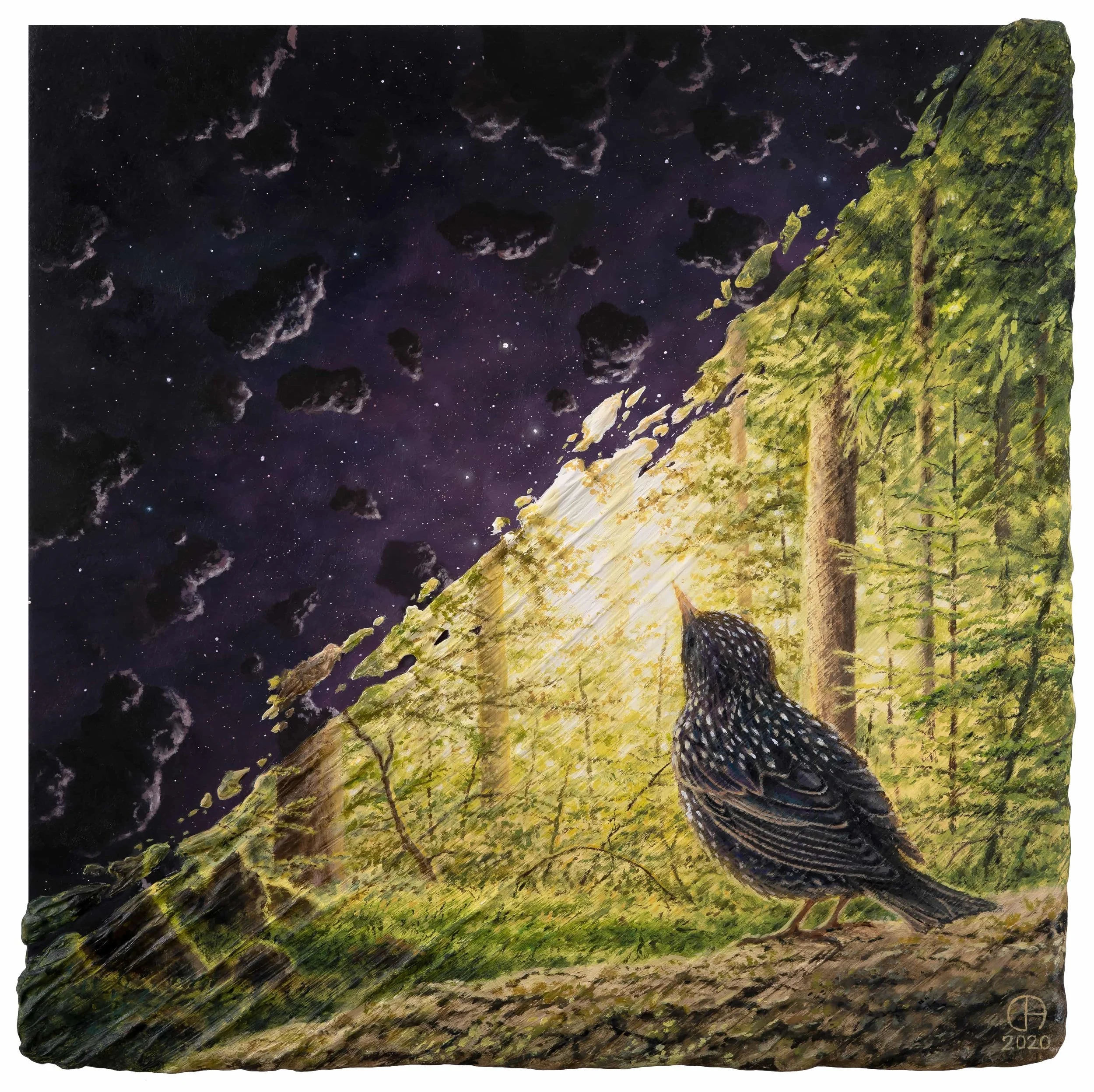"Starling" oil on 30x30cm wood (2020)