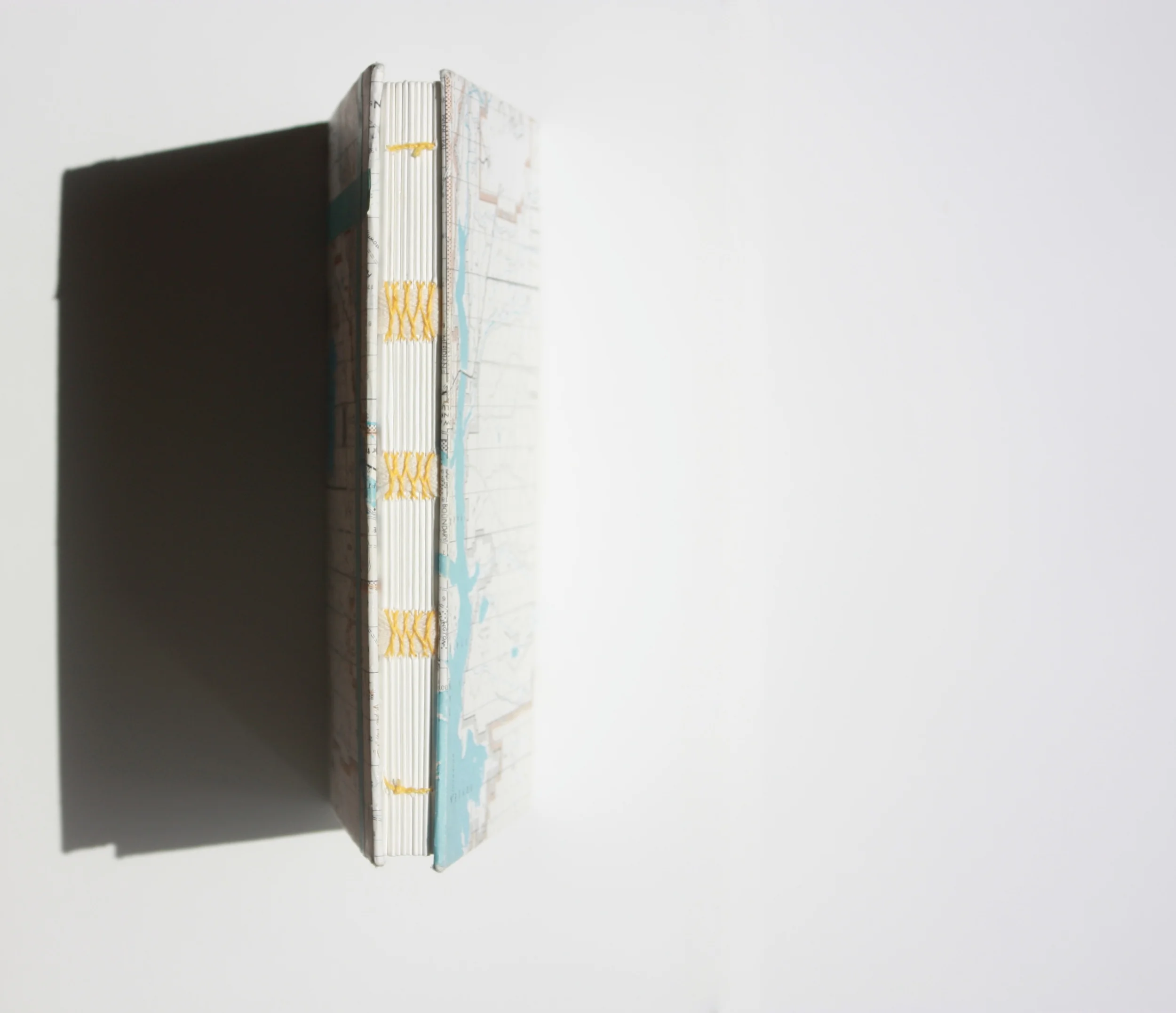 Spine
