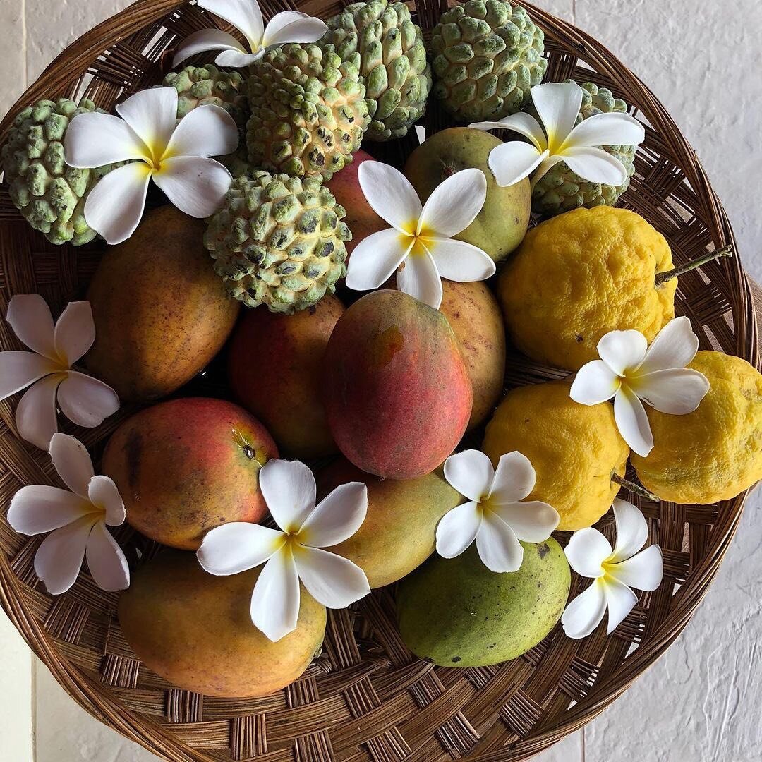 Indulge in Grenada&rsquo;s tropical fruit&hellip;delightfully delicious and nutritious!
.
.
.
#villasolitaire #luxuryvilla #tropical #paradise #eathealthy #stayhealthy #islandlife #supportlocal #grenada #puregrenada #discovergrenada