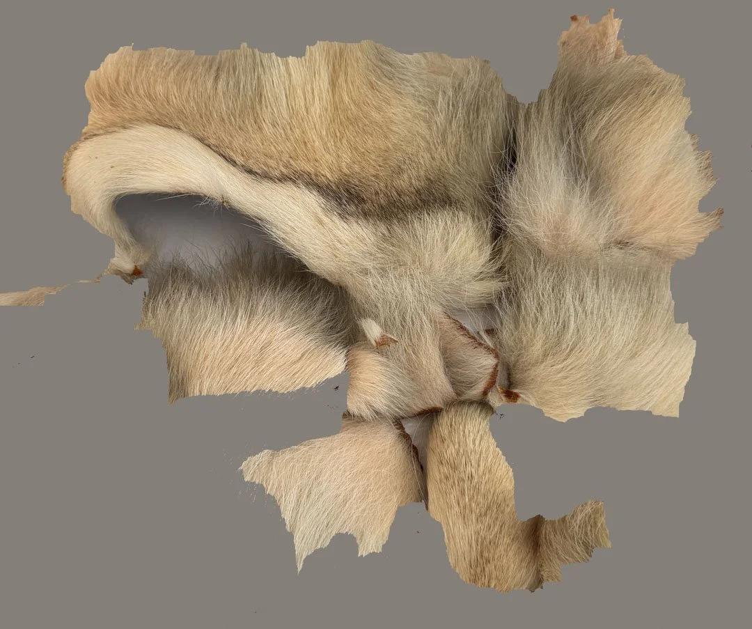 mc2655.fur.jpg