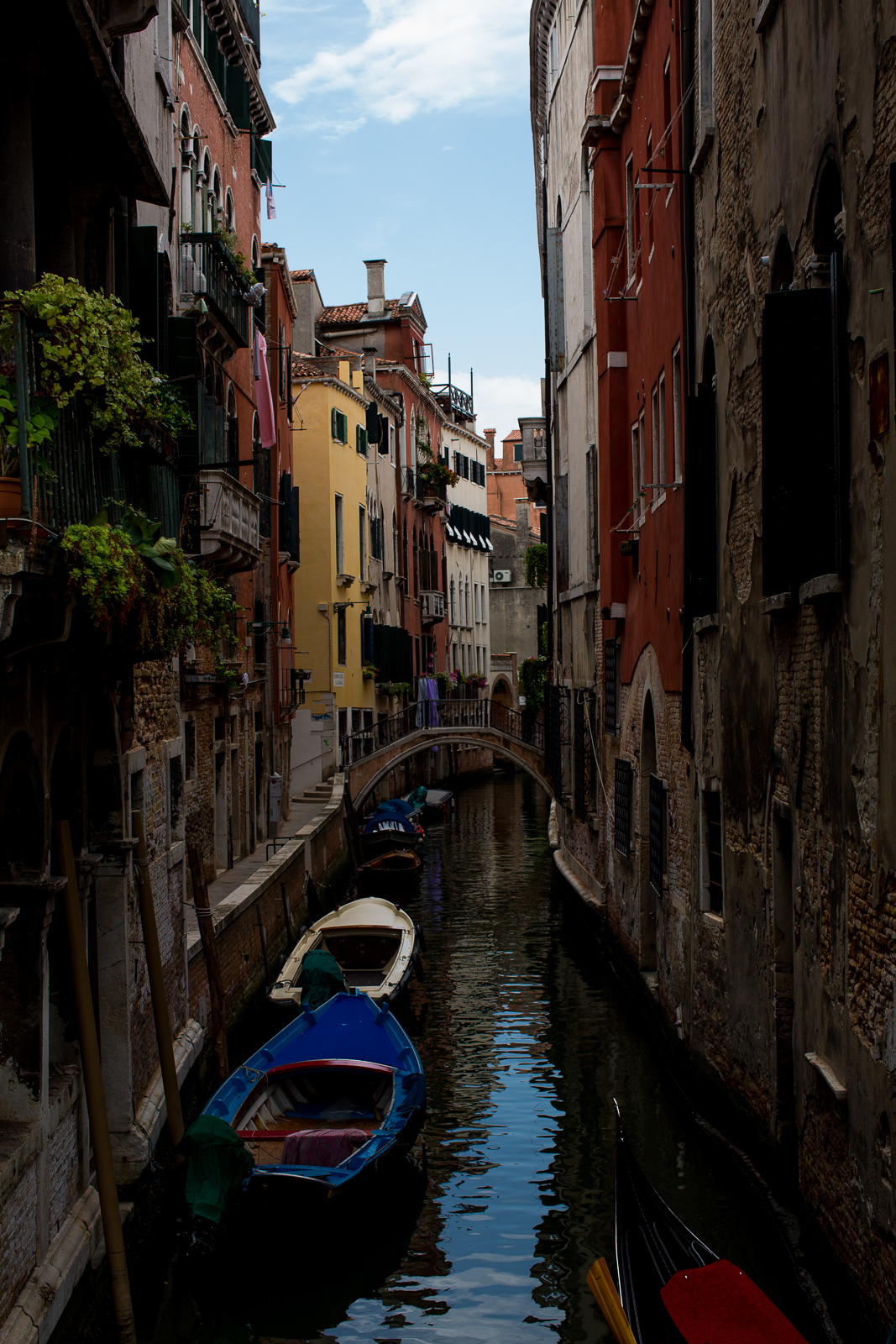 venice.italy.0301.jpg