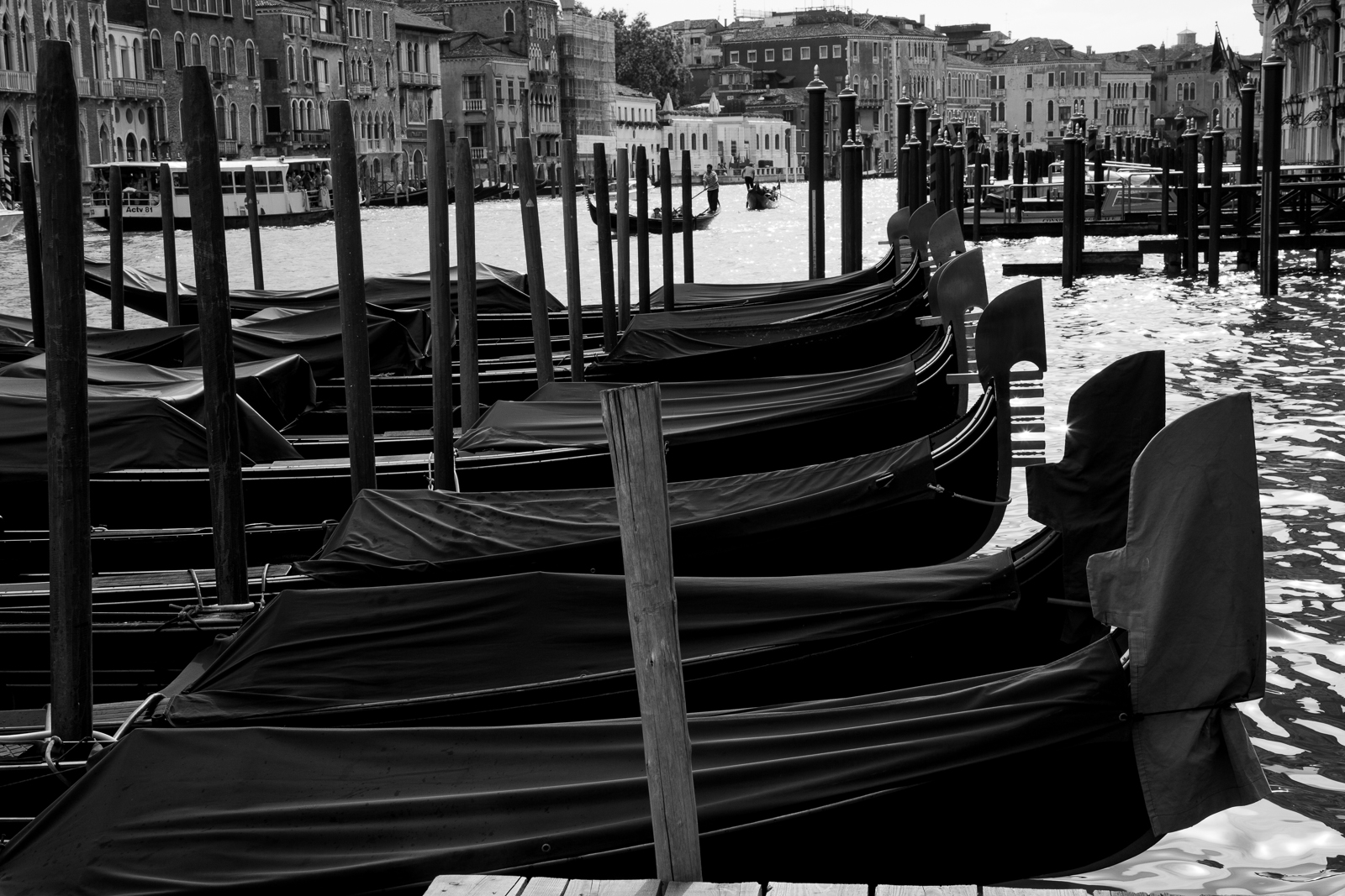 venice.italy.0548.jpg