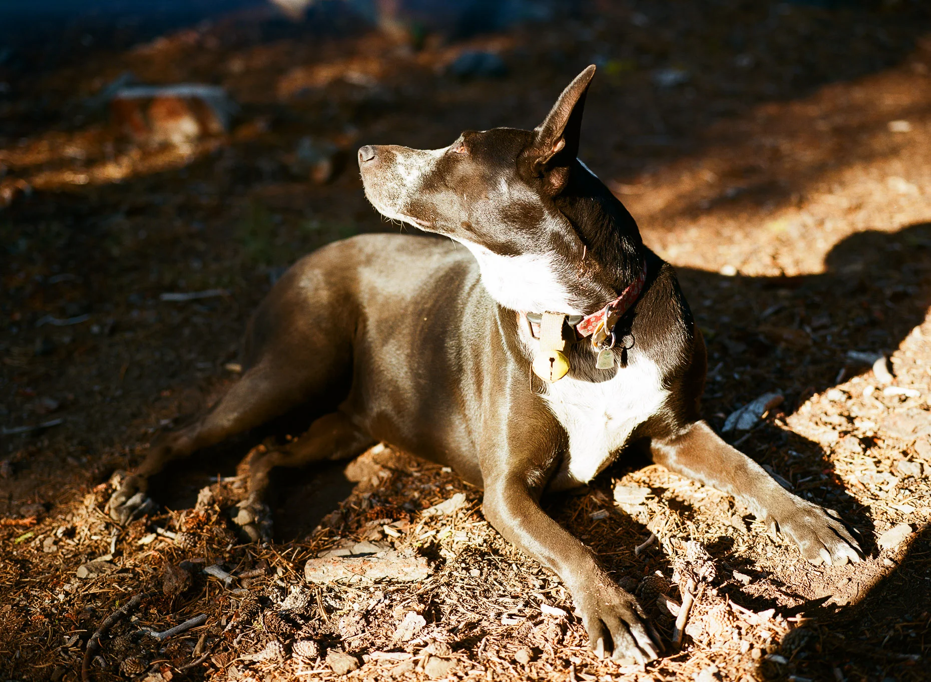island lake-11.jpg