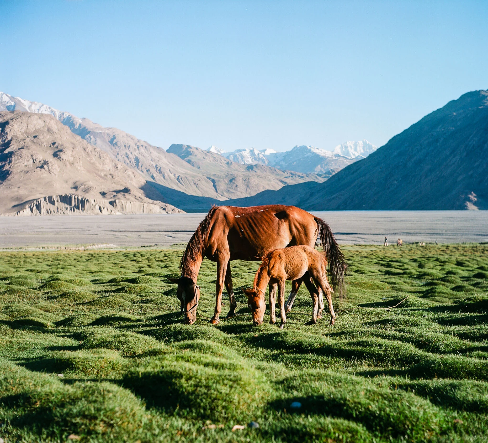 Afghanistan_120-15.jpg