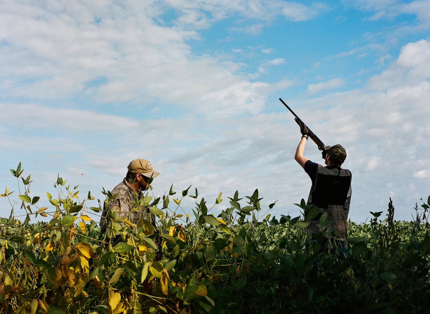 Dove-Hunt-02.jpg